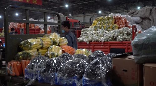 警惕本土新增疫情，全面摸排確保零遺漏——聚焦?jié)O需物資銷售環(huán)節(jié)防控