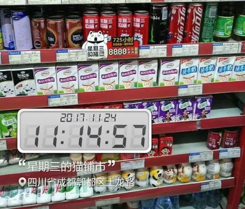 飲料代理商憑什么冬季就要虧錢？別讓傳統觀念束縛你的盈利空間！—漁需物資銷售帶來的新機遇